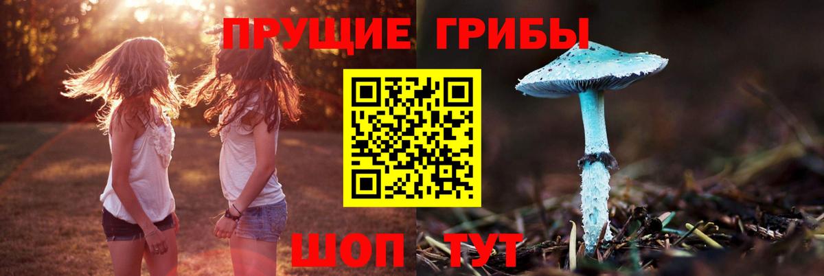 купить  сайты  Псилоцибиновые грибы Cubensis  Псилоцибиновые грибы мицелий  Вход с VPN  Петрозаводск 