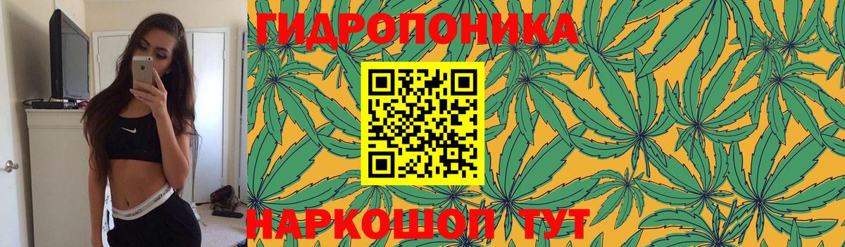 Бошки Шишки тримм Петрозаводск