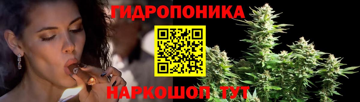 Бошки Шишки Bruce Banner  Вход с VPN  Каннабис Bruce Banner  Петрозаводск  Канабис планчик 